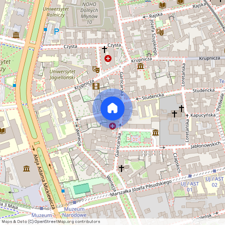 Stare Miasto, Napoleona Cybulskiego, Kraków