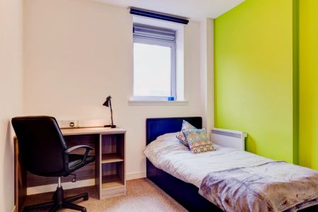 Classic Studio - Photo 5