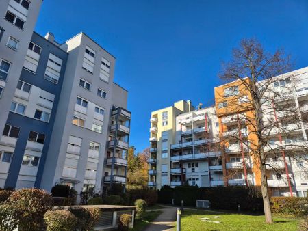 Naturnahes Wohnen in Sindelfingen: Charmante 2-Zimmer-Wohnung direkt am Waldrand - Foto 5