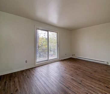 14226 Rue du Montmartre - Photo 3