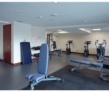 242 Rideau Street, Byward Market, Ottawa, ON - Photo 6