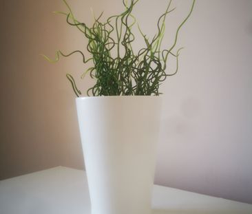 Pelham road Room 1 - Photo 5