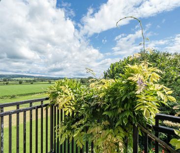 3 bedroom semi-detached house to rent - Photo 4