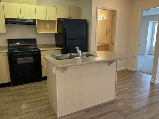 KAITE LYNN - 109 - KL109 - Photo 1