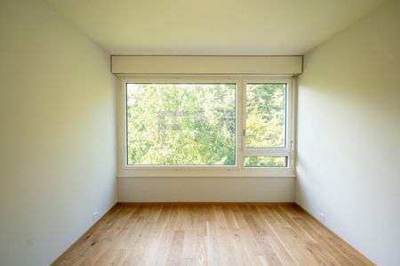 Route Frontenex, 5 pièces au 3ème étage, env. 100m2 - Foto 2