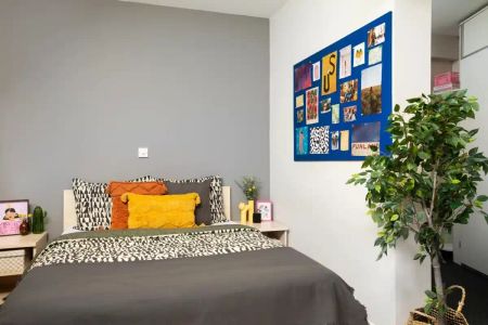 Extra Large Standard Double Studio - Photo 5