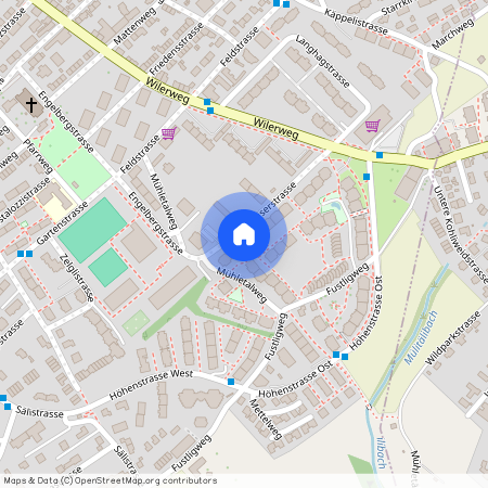 Speiserstrasse 6, 4600 Olten