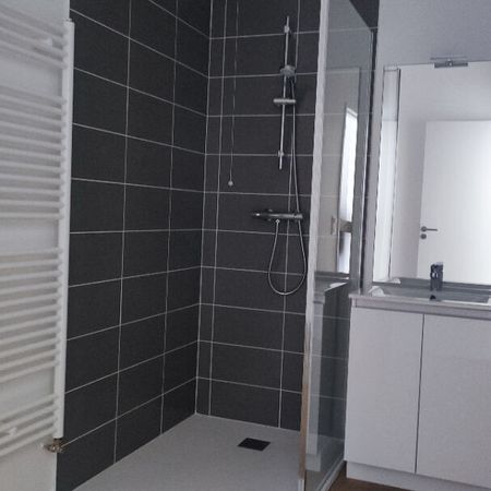 Appartement T2 meublé de 50 m2 - Photo 3