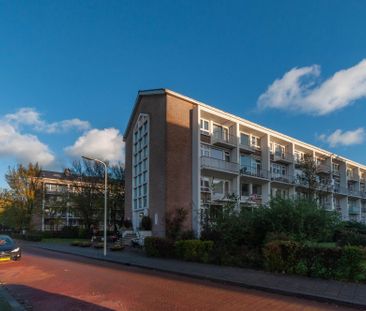 Te huur: Appartement De Savornin Lohmanlaan in Den Haag - Photo 3