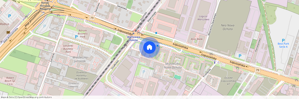 ul. Łopuszańska, Raków, Włochy, Warszawa, mazowieckie