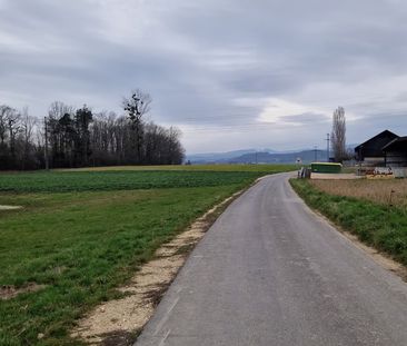 2 Zimmer, 45 m² - Foto 5