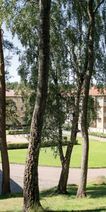 Guldgubbegatan 3B - Foto 4