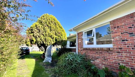 Sunny 3 bedrooms At Quiet Handy Location - Photo 5