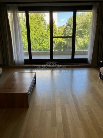 Large Three Bedroom Flat with Terrace - Kiseleff - Fotografie 4