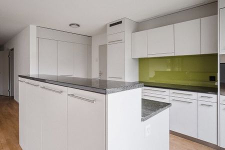 Living close to nature at the gates of Zurich - Photo 4