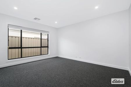 Modern 4-Bedroom Family Home - all the comforts and plenty of shine - Photo 2