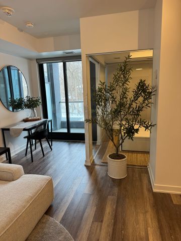 For Lease - 250 Lawrence Avenue Unit# 203, Toronto, Ontario - Photo 3