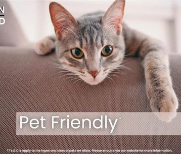 1 bedroom apartment to rent - Photo 3