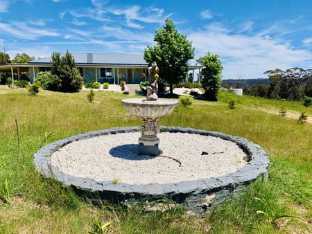 Luxury Living in the Heart of Nature - Photo 2