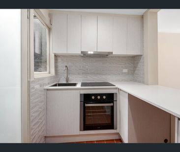 11 Rose Terrace, Paddington, NSW 2021 - Photo 5