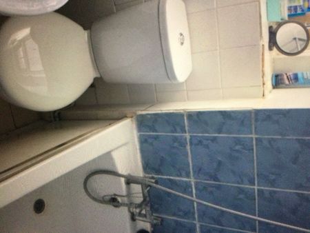 Room in a Shared Flat, Carton House, W11 - Photo 4