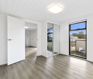 Newly Renovated Three Bedroom Home - Photo 2