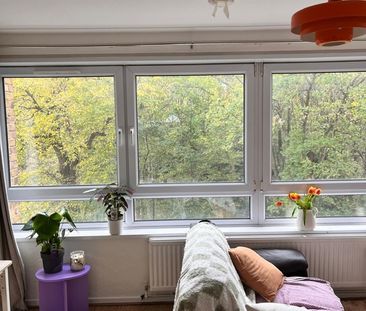 3 Bed Flat, Loweswater House, E3 - Photo 6