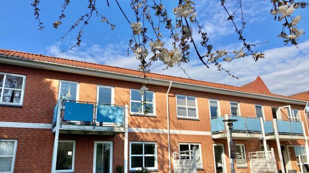 1 værelses – Billesparken 39, stuen – 5000 Odense C - Foto 1