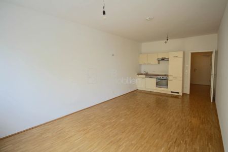 Garconniere mit ca. 34 m² in Jakomini (am Augarten) zu vermieten - Photo 3