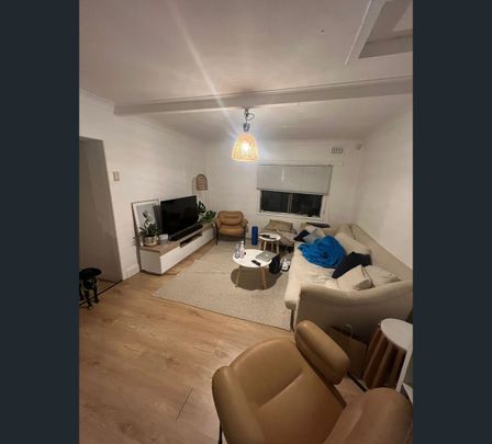 184-186 Albion Street, Annandale, NSW 2038 - Photo 1