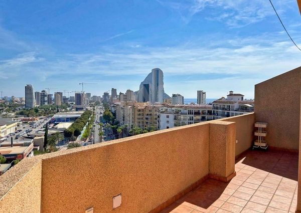 Alicante, Valencian Community 03710