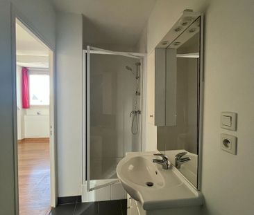 Location Appartement 1 pièce 24m² - Photo 5