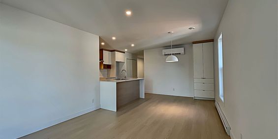 Vieux-Limoilou 4 Et Demi Neuf A Louer - Photo 3