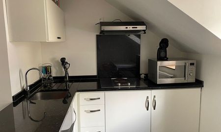 Location Appartement 1 pièce LIMOGES (87000) - Photo 3