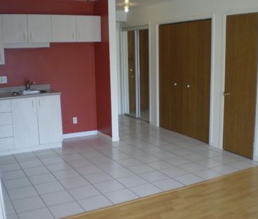 1 1/2 pour juillet, 3e étage, ascenseur, piscine, quiétude, vue pis... - Photo 4