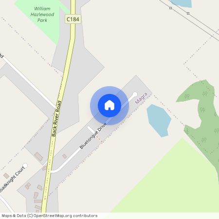 31 Bluetongue Drive, Tas 7140, Magra