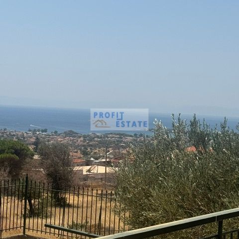 Μονοκατοικία για ενοικίαση Λαγονήσι (Καλύβια Θορικού) - Φωτογραφία 1