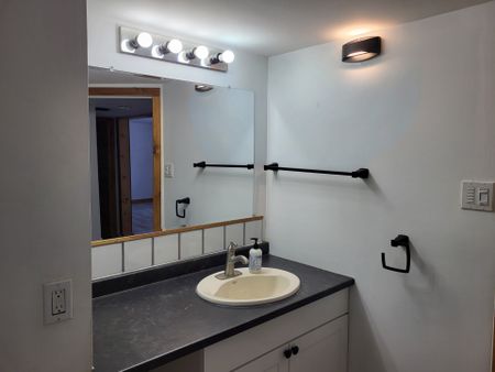 For Lease - 273 Skyhills Road Unit# Lower Level, Huntsville, Ontario - Photo 4