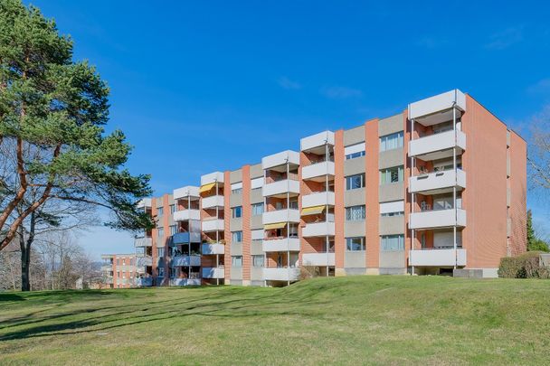 Your new home at Bollwerkstrasse 50 - Photo 1