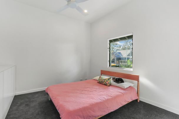 54 White Street, Lilyfield NSW 2040 - House For Rent | Domain - Photo 1