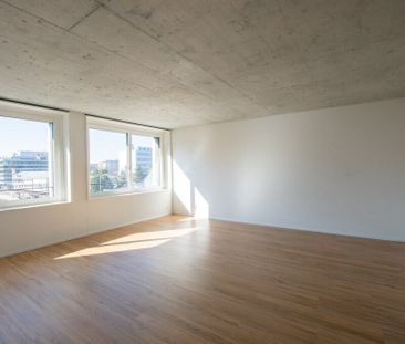 Moderne 2.5 ZWG avec immense terrasse partagée sur le toit - Photo 6