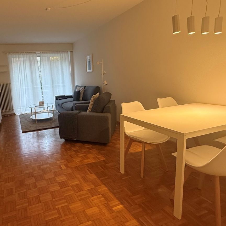 Charming 2-Room Furnished Apartment Near Basel University - Photo 1