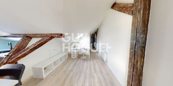 CHARMENT APPARTEMENT 2 PIECES MEUBLE A MULHOUSE - Photo 3