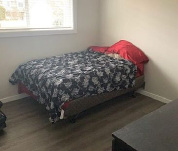 Newly renovated 3 bedrooms, 1.5 bathroom - Photo 4