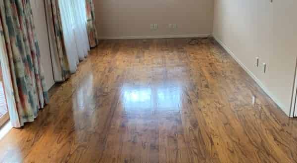 Elevated 3-Bedroom Home with Office & Garage - Photo 1