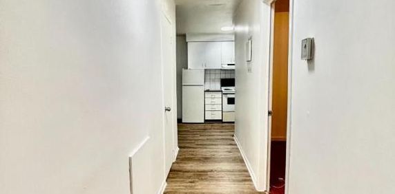1 CH - 1 SDB - Montréal - $1,340 /mo - Photo 2
