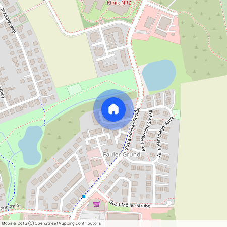 Gustav-Ricker-Straße 18, 39120 Magdeburg, (Hopfengarten), Deutschland