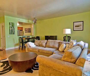 SPACIOUS 1 BEDROOM APARTMENT IN LONDON ONTARIO - Photo 1