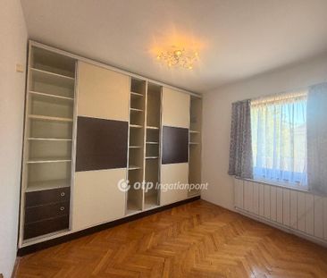 Csepel Királyerdő, 1213, Budapest - Fotó 4