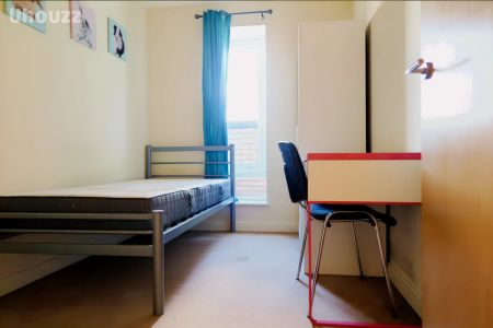 Entire Place·3B1B···86 Westside Two,20 Suffolk street - Photo 4